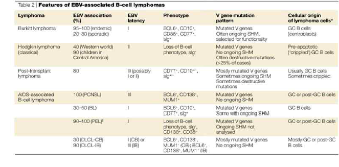 EBV 감염과 관련된 B 세포 림프종