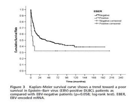 DLBCL 에서 EBV 발현에 따른 생존율