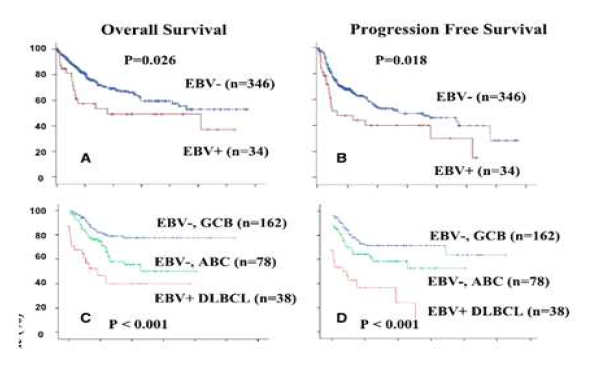 EBV(-)/(+), ABC, GCG 에 따른 생존율