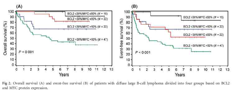 MYC, BCL2 발현에 다른 생존율