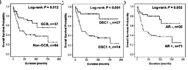 DBC1, AR 발현에 따른 생존율