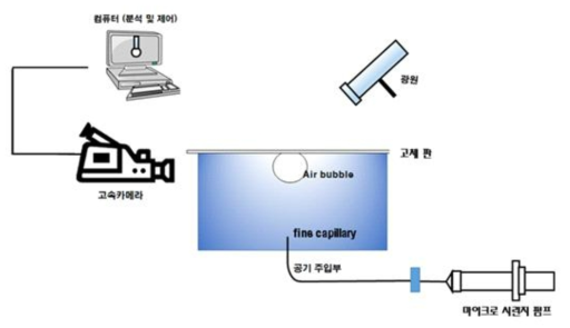 고속카메라를 이용한 3상 접촉선 확장 단계 측정 장비 개략도