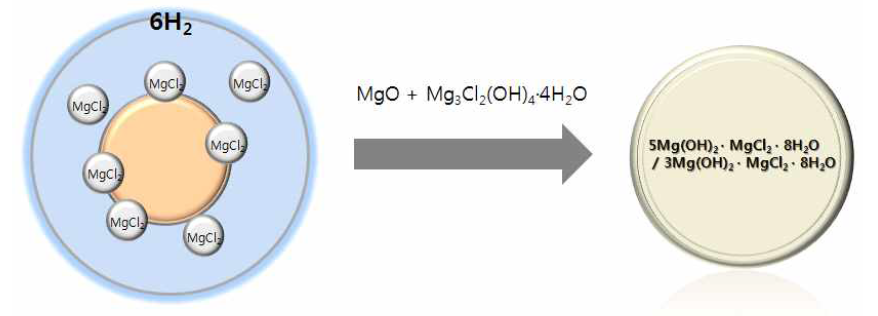 마그네시아와 염화마그네슘 반응특성