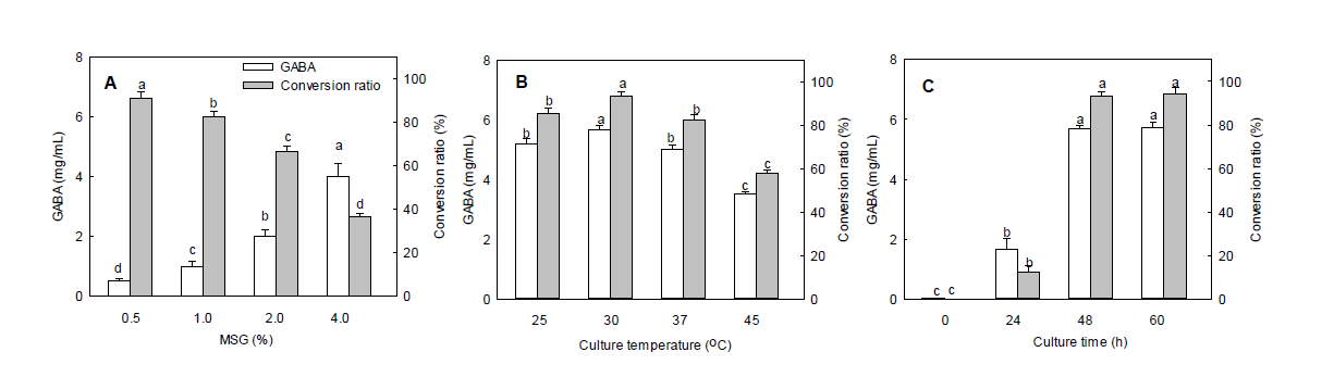 GABA production and conversion ratio by L. brevis L-32 growing cells. The GABA concentration and bioconversion ratio were monitored at various MSG concentrations of growth in 500 mL flasks containing 100 mL cultivation medium. A: effect of MSG concentration for the production GABA (culture temperature: 37°C, culture time: 48 h), B: effect of culture temperature for the production GABA (MSG concentration: 1%, culture time: 48 h), C: effect of culture time for the production GABA (MSG concentration: 1%, culture temperature: 30°C). Data are presented as mean±SD values from three independent experiments. Different letters indicate significant differences at p < 0.05