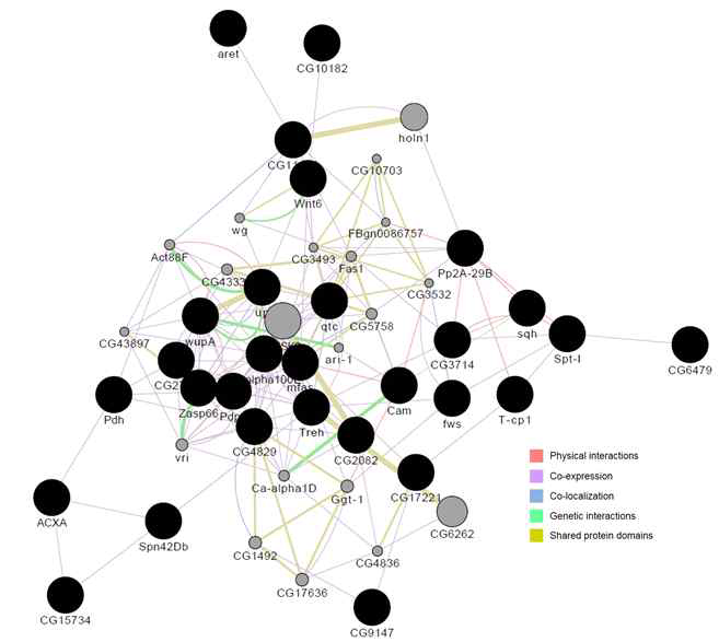 Composite network for up-regulation of GABA/5-HTP mixture group with FC4. The black circle are gene of up-regulation and up to 29 most related genes and 20 most related attributes are shown, The source networks are grouped by type and list each network weight, as well as the sum of the weight of the networks in group