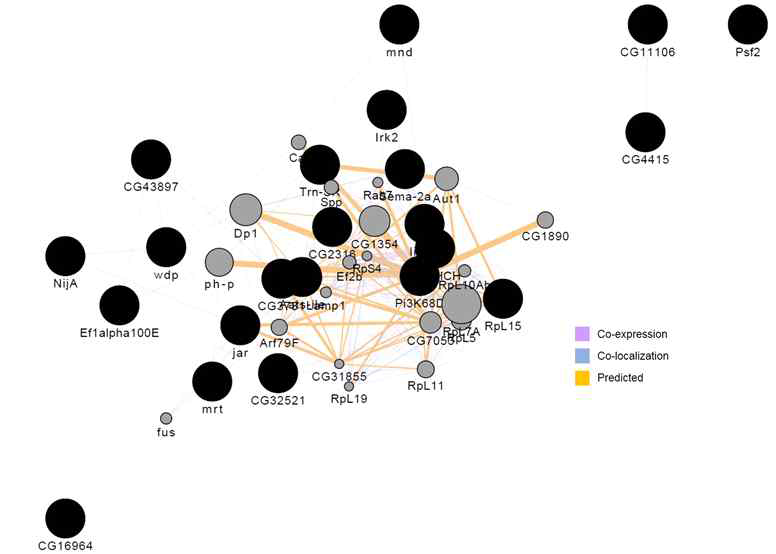 Composite network for down-regulation of GABA/5-HTP mixture group with FC4. The black circle are gene of down-regulation and down to 23 most related genes and 20 most related attributes are shown, The source networks are grouped by type and list each network weight, as well as the sum of the weight of the networks in group