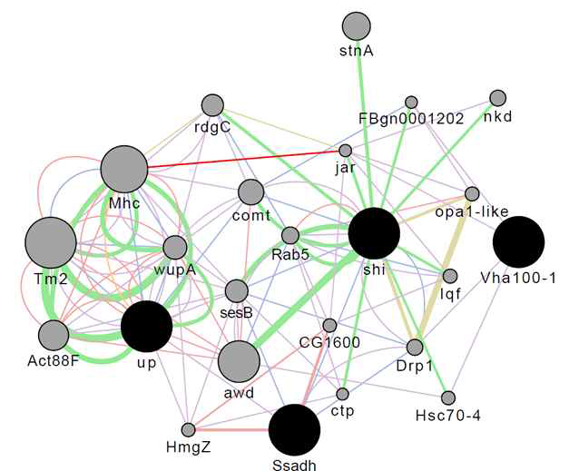 Composite network for multiple regulation of GABA/5-HTP mixture group with FC2. The black circles are gene of down-regulation and down to 11 most related genes and 20 most related attributes are shown. The source networks are grouped by type network weight, as well as the sum of the weight of the networks in the group