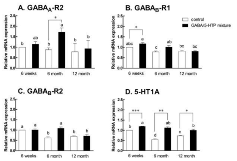 Effects of GABA/5-HTP mixture (60, 6 mg/kg, oral injection during 14 days) on GABAA receptor (A), GABAB receptor 1 (B), GABAB receptor 2 (C), and 5-HT1A receptor (D) mRNA expression in mouse brains by age (6 week, 6 month, and 12 month). Value are presented as means±standard error of the mean (SEM) for each group, n=5. Symbols indicate significant differences at *p < 0.05, **p < 0.01, and ***p < 0.001 compared with control by Student's t-tests. The different letters indicate significant (p < 0.05) differences between administrated control group by Tukey test