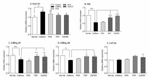Effect of explosion puffed coffee and decaffeinated coffee on Dop1-R1, Rdl, GABAB-R1,GABAB-R2, and 5-HT1A mRNA expression in fruit fly heads. The experiment was performed in 12:12 h light: dark condition for 3 weeks. Caffeine: 0.5 mg/mL of media, PER: Roasted coffee beans; PEP7.5: Explosion-puffed coffee beans at 0.75 MPa; De: Decaffeinated coffee. Values are mean ± SEM. Differences between groups were evaluated by one-way analysis of variance (ANOVA) and Dunnett’s multiple comparison tests