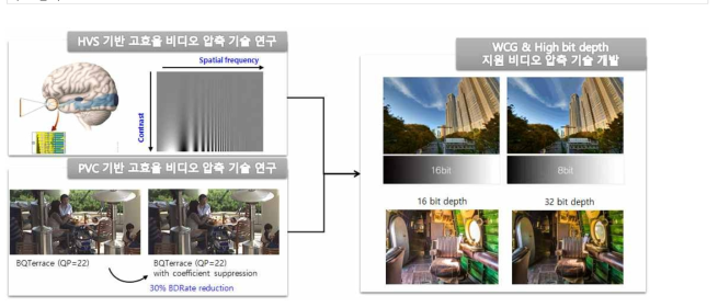 WCG & High bit depth 지원 비디오 압축 기술 연구