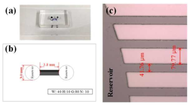 (a) PDMS-glass microchip with 10 channels, (b) mask drawing for mold fabrication, and (c) microscopic picture of wafer mold