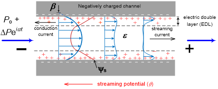 Changes of the velocity profile according to different frequency of pulsatile flow in microchannel with electric double layer and electric potential profile