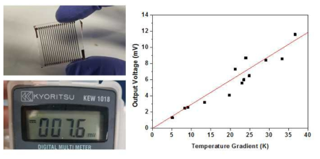 나노도메인이 제어된 그래핀을 이용한 열전 소자의 구동