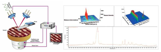 원자 현미경(AFM)의 개략도 및 공초점 라만 현미경의 결과 샘플 이미지(오른쪽)