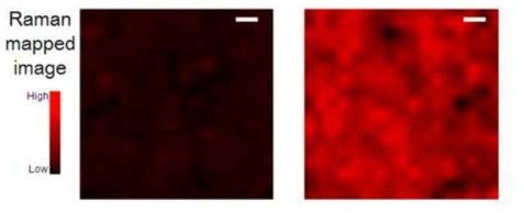 일반 quartz (좌) 및 나노 다공성 구조 quartz (우)의 공초점 라만 현미경 이미지