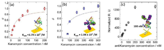 kanamycin과 (a) DNA 압타머 칩 및 (b) 항체 칩과의 결합력 확인과 (c) DNA압타머 칩 기반의 샌드위치 플랫폼의 SPR 데이터