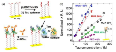 (a) tau 단백질 검출을 위한 샌드위치 분석법 모식도. (b) 체계적인 monolayer 비율로 혼합된 압타머 칩에서 fM농도의 tau 단백질을 분석한 정량곡선