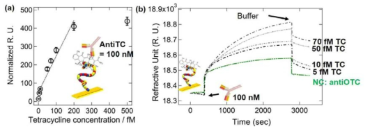 SPR과 압타머-항체 샌드위치 분석법을 이용하여 버퍼 내에 첨가된 fM 농도의 tetracycline을 (a) 정량한 검정곡선 및 (b) 검출한 데이터