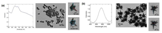 UV-vis 스펙트럼과 TEM 이미지: (a) CTAB 계면활성제를 이용하여 씨앗-성장 방법에 의해 금 나노스타를 합성한 경우와 (b) citrate 환원제를 이용하여 합성한 나노스타