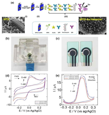 (a) 반코마이신 검출을 위해 LbL 공정법으로 금 나노스타를 도입한 SPCE 센서 제작법 모식도 및 금 나노스타를 도입하기 전과 후의 SPCE 전극 SEM 데이터. (b) SPCE가 장착된 실시간 측정용 흐름셀 사진. (c) SPCE 실제 사진. (d) CV 및 (e) DPV 데이터