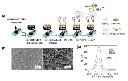 (a) oxytetracycline 검출용 샌드위치 나노바이오전기화학센서의 모식도와 (b) 카본나노혼을 도입하기 전과 후의 SPCE 전극 SEM 데이터. (c) 압타머/oxytetracycline/AntiOTC-ALP 샌드위치 복합체를 APP 용액에 담궜을 때 전기화학적 변화를 측정한 DPV 데이터