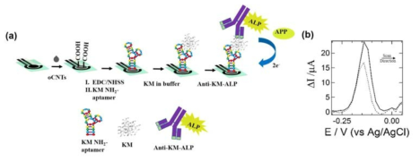 (a) kanamycin 검출용 샌드위치 나노바이오 전기화학센서의 모식도와 (b) 압타머/kanamycin/Anti kanamycin-ALP 샌드위치 복합체를 APP 용액에 담궜을 때 전기화학적 변화를 측정한 DPV 데이터