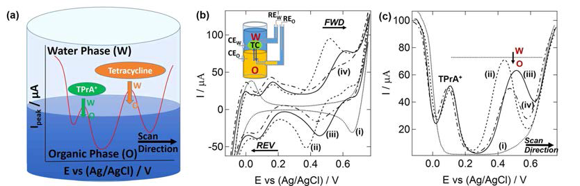 tetracycline이 존재하는 pH 4, 6, 8 수용액을 1,2-DCE 유기층과 접촉시킴으로써 액체/액체 계면을 형성한 후 전압을 주사하였을 때, 이온화된 tetracycline이 계면을 전이하면서 전류변화가 생성되는 것을 나타내는 (a) 모식도 및 관찰한 (b) CV와 (c) DPV 데이터