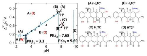 물/1,2-DCE 계면에서 물의 pH를 다양하게 변화시킬 때 각 pH에서 얻은 tetracycline 이온종들의 전위값을 나타내는 이온분배도표