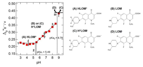 물/1,2-DCE 계면에서 물의 pH를 다양하게 변화시킬 때 각 pH에서 얻은 lomefloxacin 이온종들의 전위값을 나타내는 이온분배도표