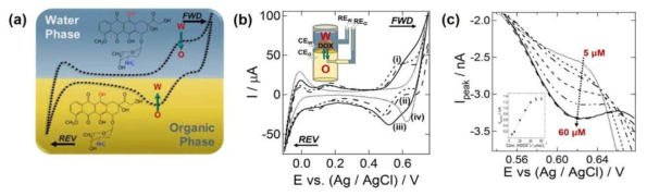 (a) pH변화에 따른 doxorubicin 이온이동반응을 나타내는 모식도. (b) doxorubicin이 존재하는 pH 4, 7, 9 수용액을 1,2-DCE 유기층과 접촉하여 계면을 형성한 후 이온화된 doxorubicin이 계면을 전이하면서 전류가 변화는 것을 나타낸 CV 및 (c) doxorubicin이 포함된 pH 4 수용액에서 마이크로홀-물/PVC-NPOE 젤 계면을 이용한 doxorubicin농도 변화 5 ~ 60 μM 센싱에 따른 DPSV 결과