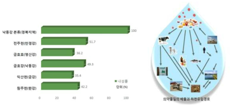 (좌측) 전국하천에서 검출된 vancomycin. (우측) 의약물질의 배출과 하천유입경로 내성균 비율(조선일보, 2014)