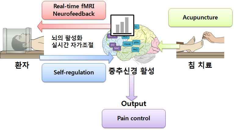 본 연구팀이 구현하고자 하는 전체 시스템의 개념도 (침자극시 real-time fMRI neurofeedback을 통한 자가 조절을 통한 통증을 조절)