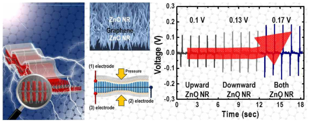 ZnO 나노로드/그래핀/ZnO 나노로드 헤테로구조의 morphology와 그를 이용한 압전소자 특성