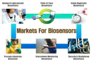 글로벌 바이오센서 시장의 구성