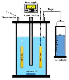 Schematic diagram of bioelectrochemical anaerobic batch reactor with the polarized bioelectrode or insulated electrode