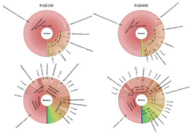 Microbial communities in the planktonic bacteria of PAB100 and PAB400 reactors