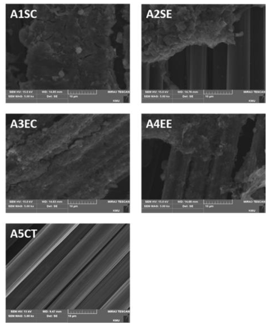 Scanning electron microscopy (SEM) images for the different anode surface