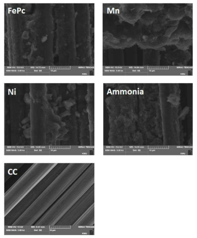 Scanning electron microscopy (SEM) images for the different cathodes surface