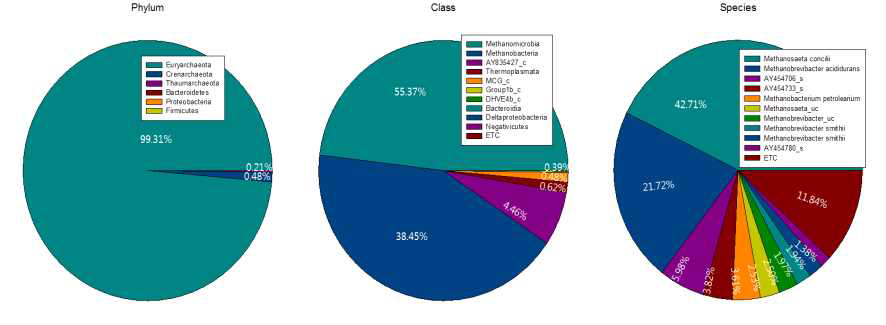 Percentage of (a) phylum, (b) class and (c) species for achaea in the bioelectrochemical anaerobic digester at 0.7V, 6sets