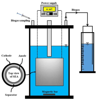 Schematic diagram of batch bioelectrochemical anaerobic reactor