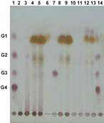 Characterization of purified PcEg5A