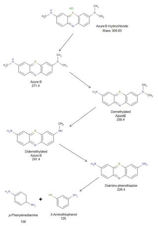 Predicted degradation mechanism and its pathway of AZB