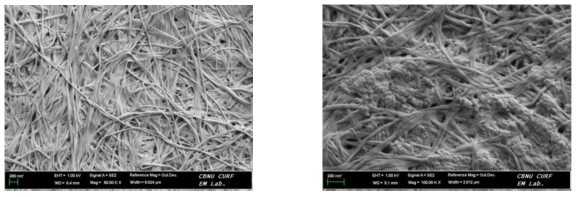 (A) FE-SEM image of bacterial cellulose nanofibers (BC-NFs) (from G. xylinus), (B) FE-SEM image of laccase immobilized on bacterial cellulose nanofibers (BC-NFs-LAC)