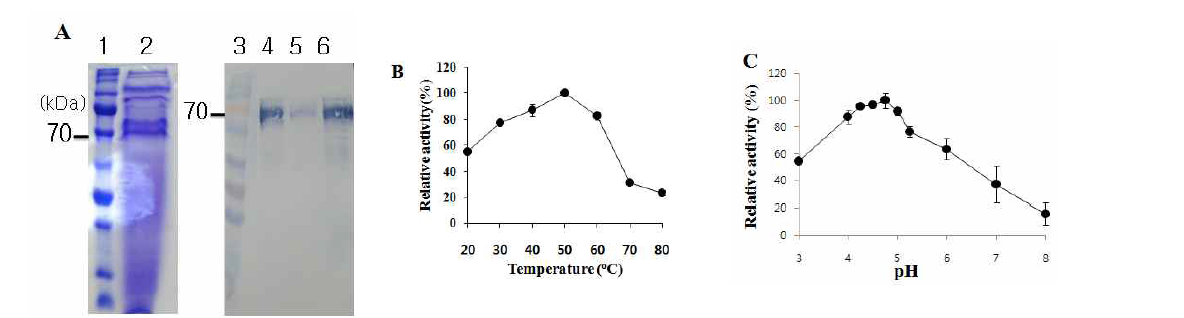 A, SDS-PAGE analysis (lane 1-2) and western blot analysis of rLiPLG5 secreted from P.pastoris. Lane 1 and 3, Molecular weight marker; lane 2, total secreted proteins. lane 3-6, rLiPLG5. B, Effect of temperature on LipLG5 activity. C, Effect of pH on LipLG5 activity