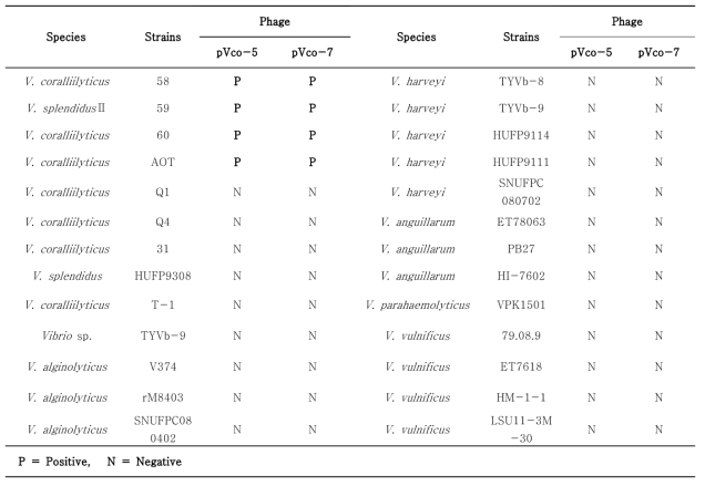 분리된 두 종의 파아지 (pVco-5, pVco-7)의 host range test 결과
