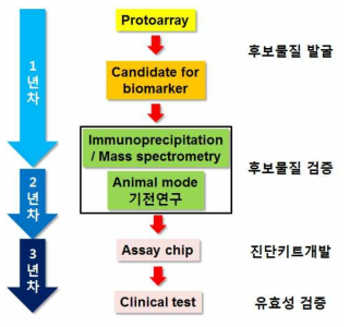 메니에르 진단기구 개발의 전체적 연구개요