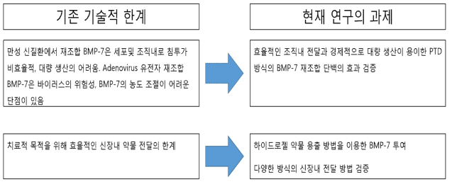 기존 연구의 한계 및 현 연구의 과제