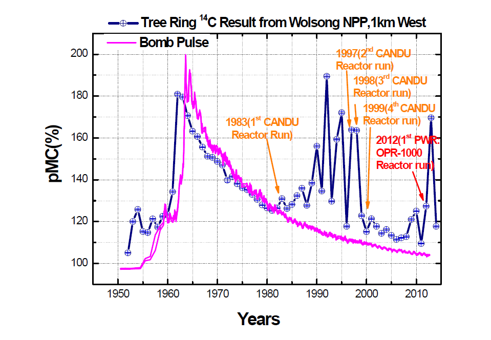월성 원자력 발전소 주변 서쪽 1 km 지점에서 채취된 62년 생장 소나무 그루터기 시료의 나이테 연도별 pMC(%) 측정값과 북반구 Bomb-Pulse 공인 그래프 값과의 비교