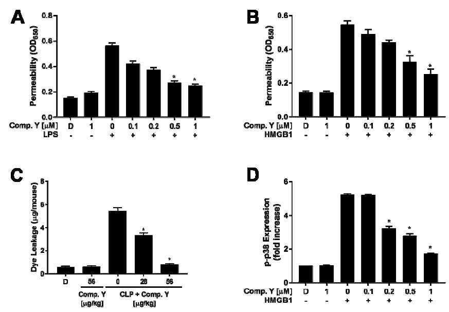 In vitro 및 in vivo 수준에서 HMGB1으로 유도된 막투과성에 보에라비논 Y가 미치는 영향. *, 지질다당류 단독 처리구 (A) 및 HMGB1 단독 처리구 (B, C, D)에 대한 p < 0.05