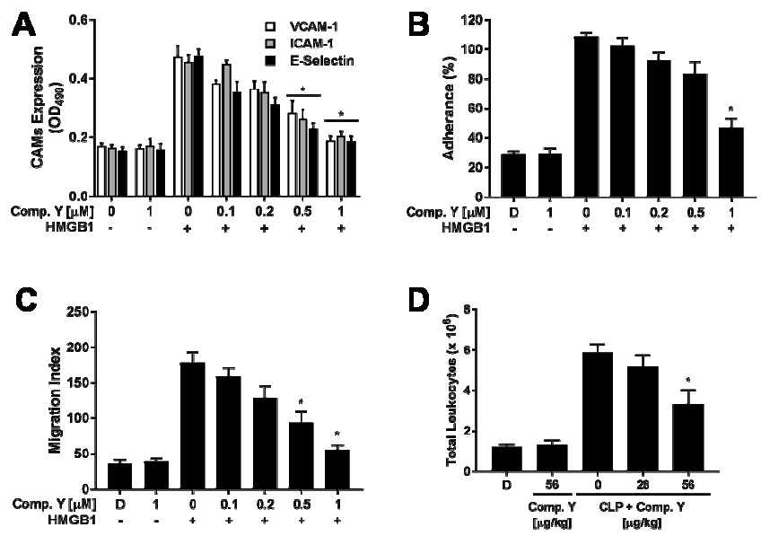 HMGB1으로 유도된 전염증 반응에 대한 보에라비논 Y의 효과. *, HMGB1 단독 처리구에 대한 p < 0.05